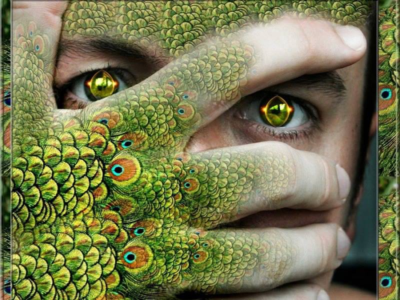 480236 337912249668630 1467588052 n (1)